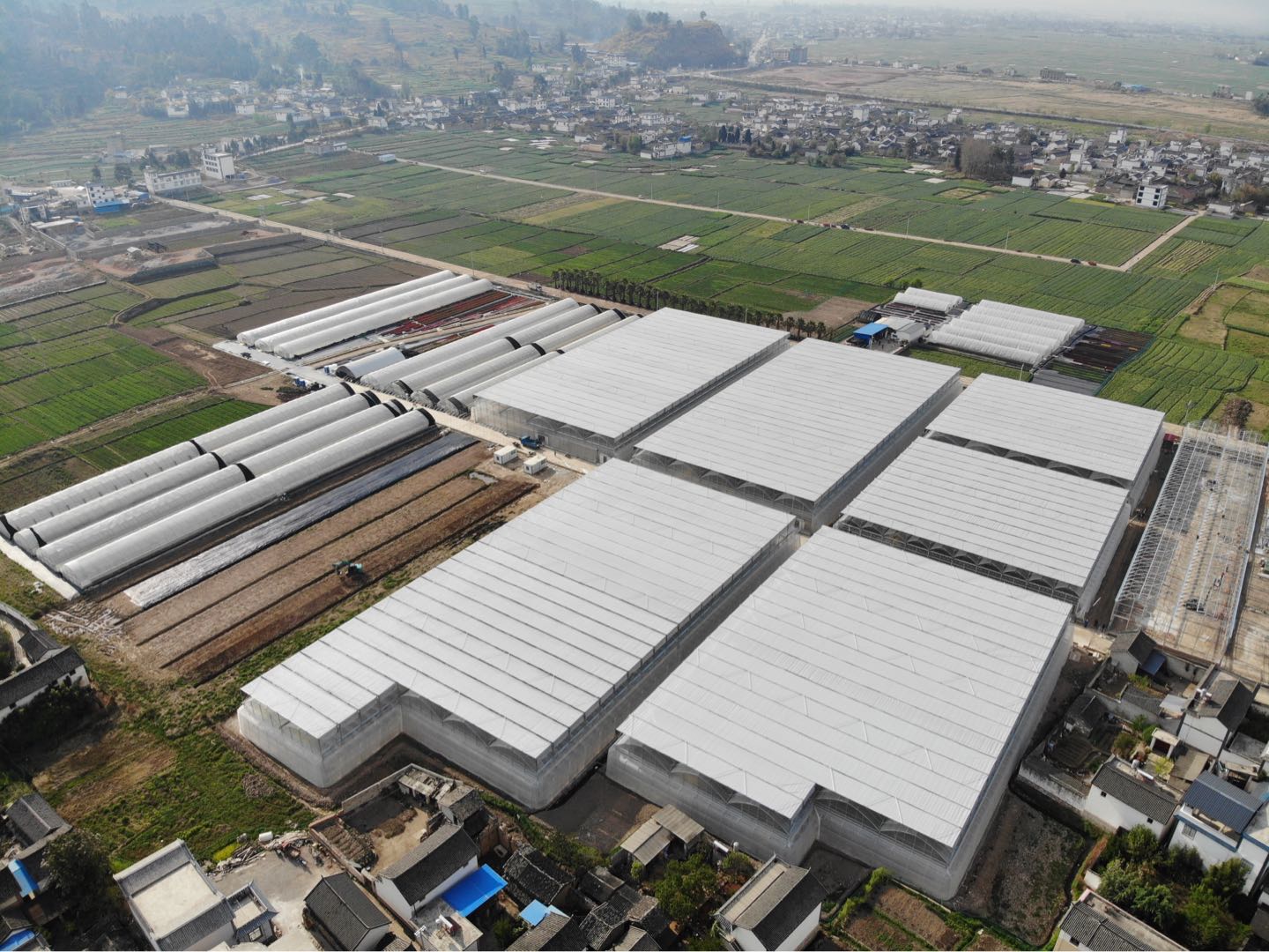 北京花木公司云南基地