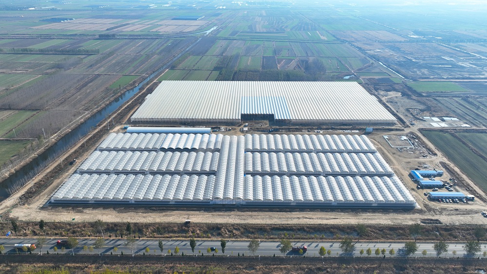 青岛华美城乡项目