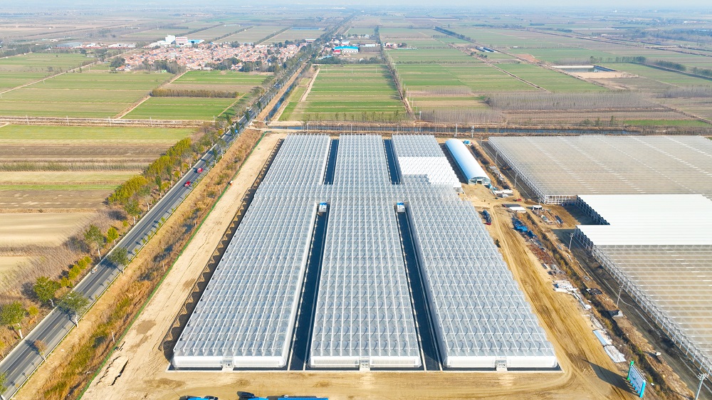 青岛华美城乡项目